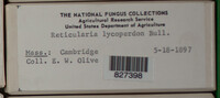 Image Associated With the Occurence